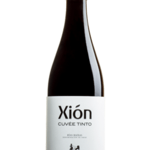Botella de Vino Xión Cuvée Tinto