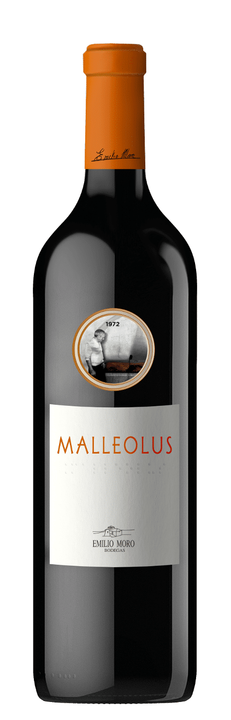 malleolus